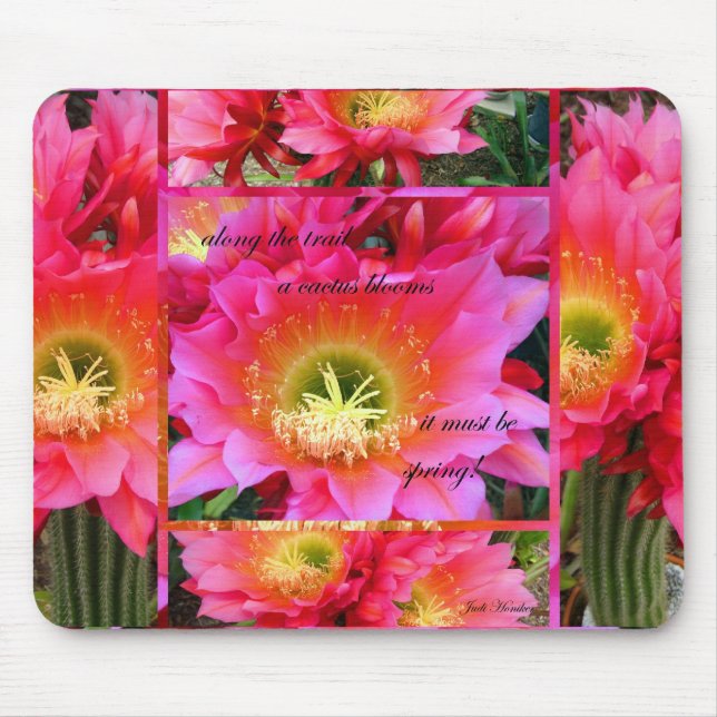 Det måste vara vårmusen vadderar musmatta (Framsidan)