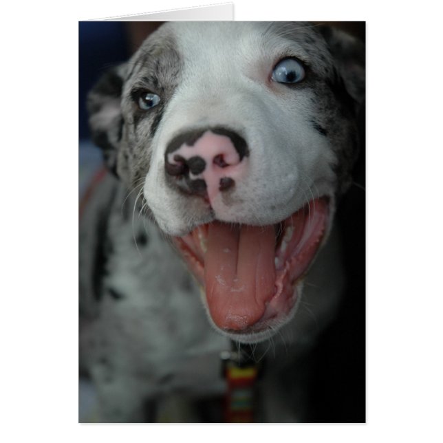 Det mest underbara nöjet hälsningskort (Framsidan)