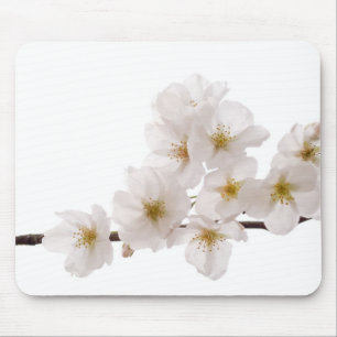 Det nätt vitkörsbäret blomstrar musen vadderar musmatta