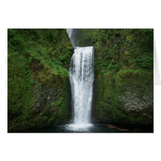 Det nedre fallkortet OBS kort