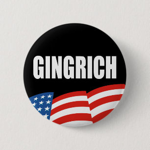 Det NEWT GINGRICH valet utrustar Knapp
