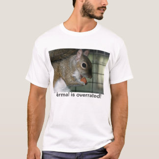 Det normala överskattas! tee shirt