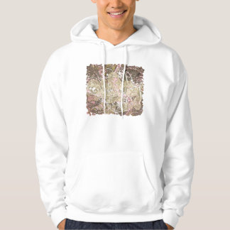 Det okända Paisley Hoodie