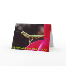 Det otäcka kryp får dig besegrar?