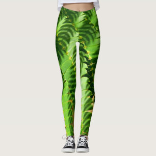 Det persiska silketräd lämnar damasker leggings