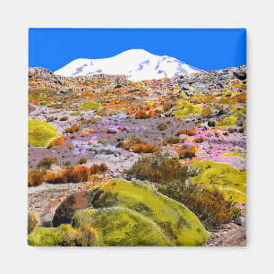 Det Peru Andes berg beskådar #1 Magnet