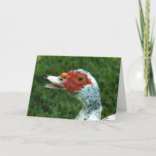 Det Quackity snattret talar inte tillbaka Kort