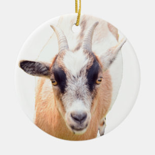Det raka utseendet hos kute och getter julgransprydnad keramik
