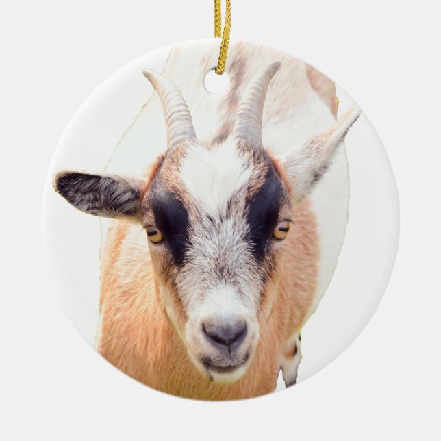 Det raka utseendet hos kute och getter julgransprydnad keramik (Framsidan)