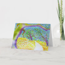 Det regionala Taylor berg parkerar slingan