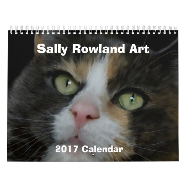 Det regnar katter och hundar! kalender (Omslag)