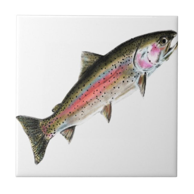 DET RENA KAKELPLATTA (Framsidan)