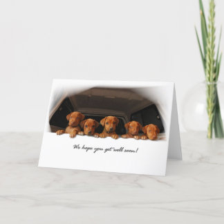 Det Rhodesian Ridgeback hälsningkortet - få väl Kort