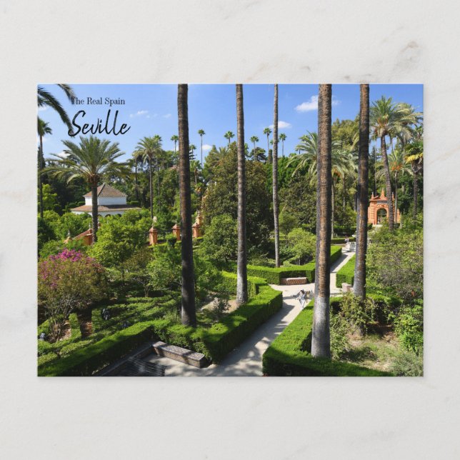 Det riktiga Spanien - Sevilla Vykort (Framsida)