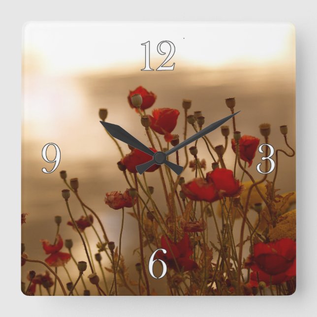 Det röda vallmo- & solljusblommaflorafotoet tar fyrkantig klocka (Framsida)