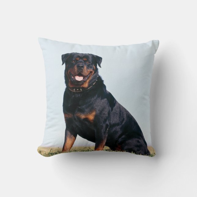 Det Rottweiler porträtt kvadrerar dekorativ kudde (Framsida)