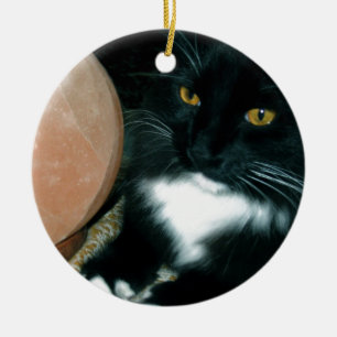 Det salt den psykiska jordklotet och katten - julgransprydnad keramik