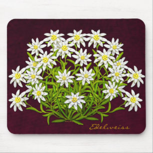Det schweiziska berg Edelweiss blommar Mousepad Musmatta