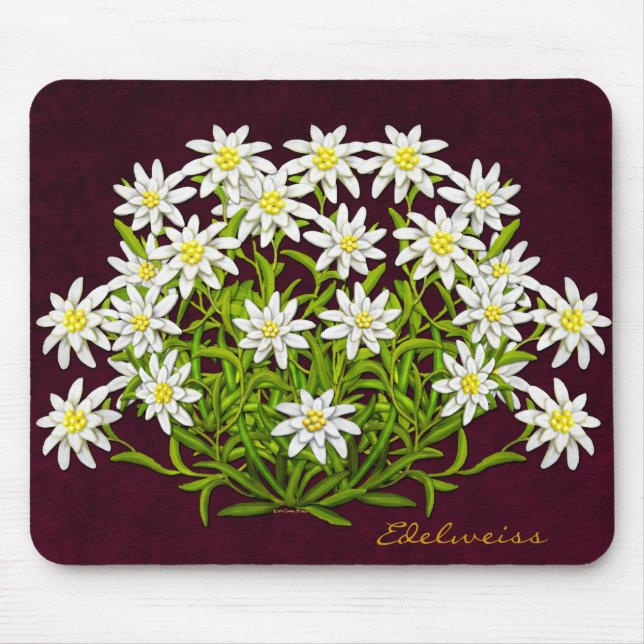 Det schweiziska berg Edelweiss blommar Mousepad Musmatta (Framsidan)