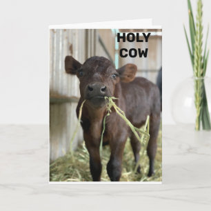 DET SENASTE MOOS ÄR ATT DU ÄR ***50*** KORT