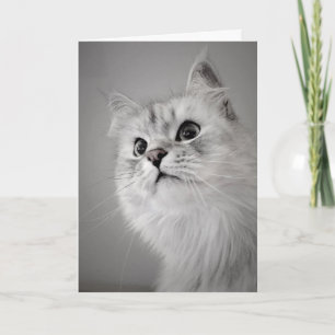 Det ser ut som din födelsedag! (Kort) Kort