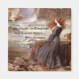 Det ser ut som Tempests Magnet