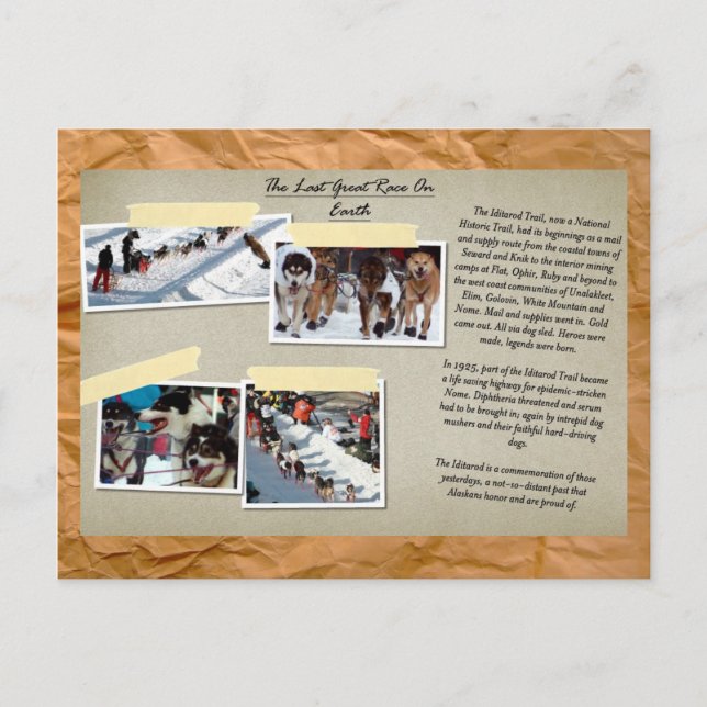 Det sista Underbara Tävling-vykortet på jorden Vykort (Framsida)