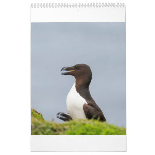 Det skotska djurlivet, vild och frigör kalender