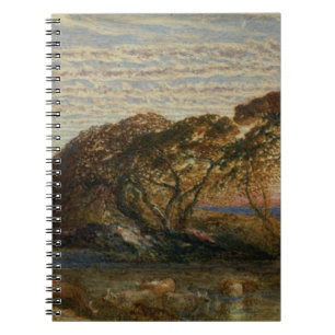 Det skuggigt strömmer anteckningsbok