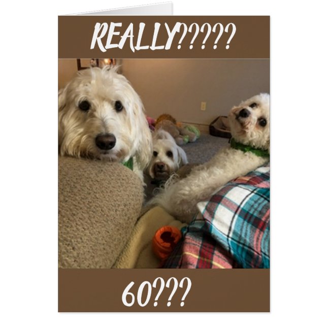 **DET SKULLE ALDRIG HA GÄNGT** DU KAN INTE VARA ** HÄLSNINGSKORT (Framsidan)