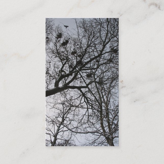 Det små fotokortet för kråkor visitkort (Framsida)