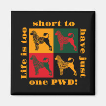 Det smarta portugisiska vatten hund