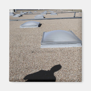 Det sol- dagbelysningsystemet magnet
