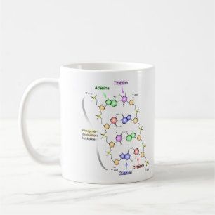 Det specificerade diagrammet av det kemiskt kaffemugg