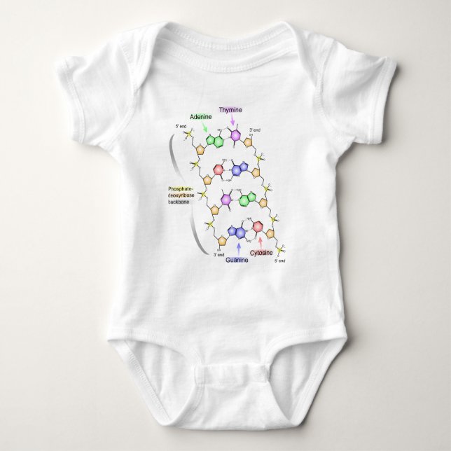 Det specificerade diagrammet av det kemiskt tröja (Framsida)