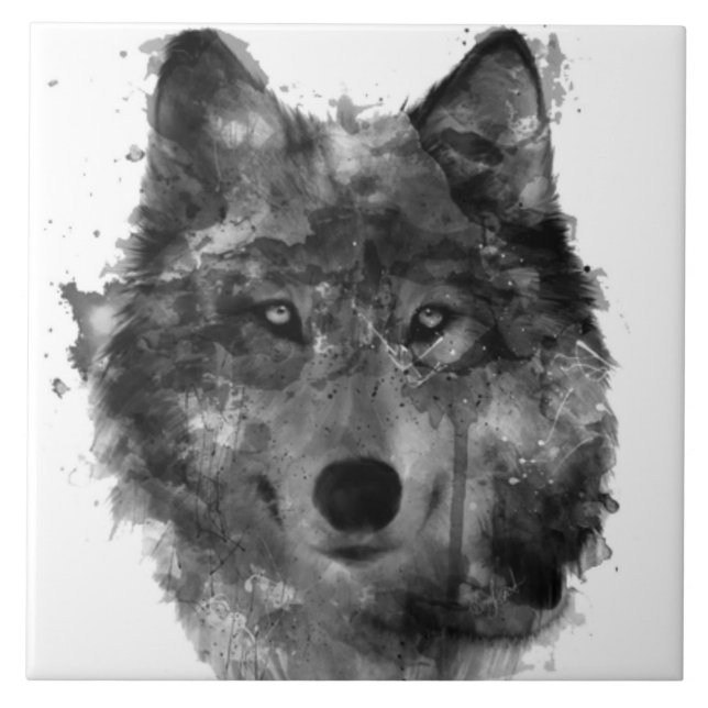 Det stora (6" X 6") keramiska fotoet belägger med Kakelplatta (Framsidan)
