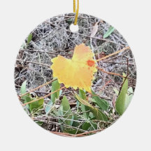 Det stora hjärtalöv med rött pricker