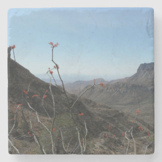 Det stora krökningParkera-Ocotilloen berg landskap Underlägg Sten