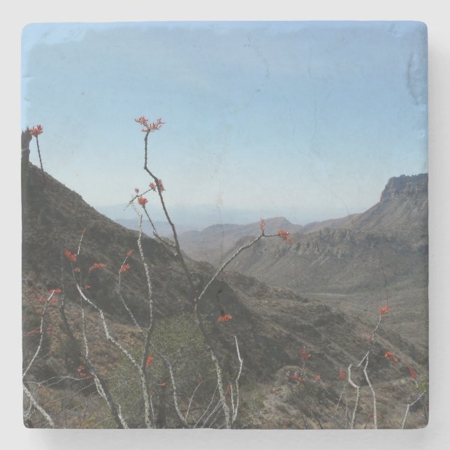 Det stora krökningParkera-Ocotilloen berg landskap Underlägg Sten (Framsidan)