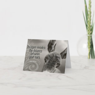 "Det största hindret" inspirationsoffert Tack Kort