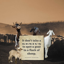 Det tar inte en | Cowboy Wisdom | Sydliga bud Stenunderlägg