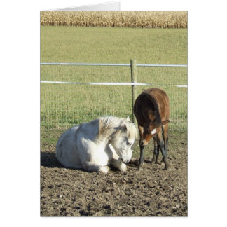 Det tar patientkort hälsningskort