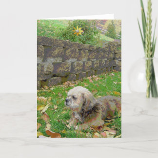 Det tomma kortet med vårdar kort