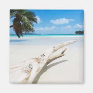 Det tropiska paradiset Seychellerna Magnet