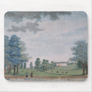 Det underbara huset och parkerar på Chawton, Musmatta