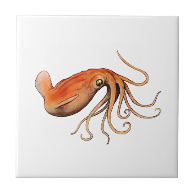 DET UNDERBARA KAKELPLATTA (Framsidan)