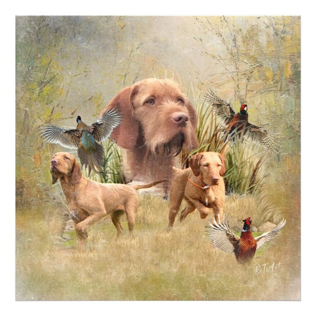 Det ungerska språket Vizsla Fototryck (Framsidan)
