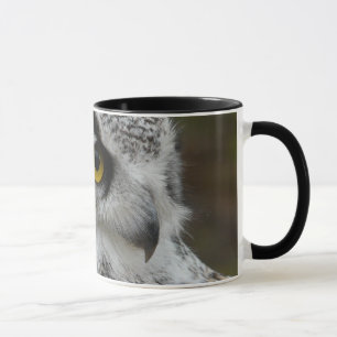 Det ursnygga slutet upp uggla fotograferar mugg