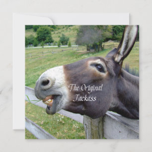 Det ursprungliga Jackass Funny Donkey Mule Farm An