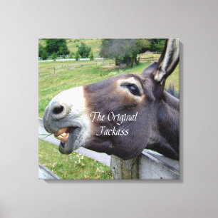 Det ursprungliga Jackass Funny Donkey Mule Farm An Canvastryck